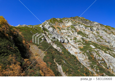 北岳 バットレス 紅葉 北岳 バットレス 紅葉 58310660