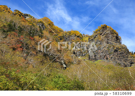 北岳　バットレス　紅葉 58310699