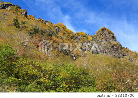 北岳　バットレス　紅葉 58310700