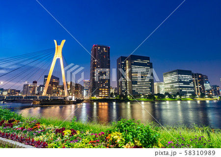 佃島公園から見たタワーマンションの夜景(東京都中央区) 58310989