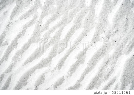 Snow field with ripples closeup in afternoon forest Snow field with ripples closeup in afternoon forest 58311561
