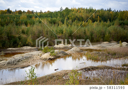 Autumn forest, stream with coastal stones. Autumn forest, stream with coastal stones. 58311593