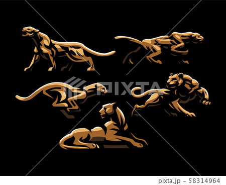 Wild cats. Jaguar, cheetah, leopard, panther. Wild cats. Jaguar, cheetah, leopard, panther. 58314964