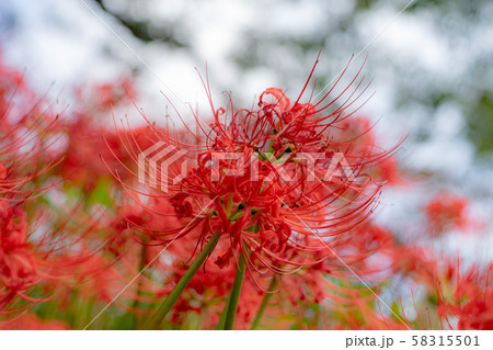 仏隆寺3762 仏隆寺3762 58315501