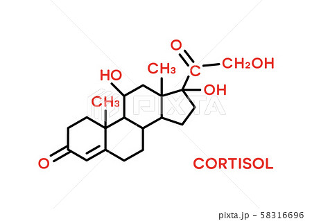 Cortisol hormone molecular formula. Human body hormones symbol 58316696