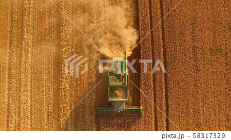 Combine and yellow field. 58317329