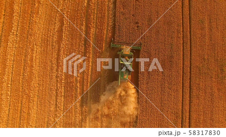 Field and combine, aerial view. 58317830
