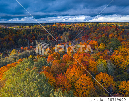 Aerial Drone view of colorful top of the forest at Autumn Aerial Drone view of colorful top of the forest at Autumn 58319009