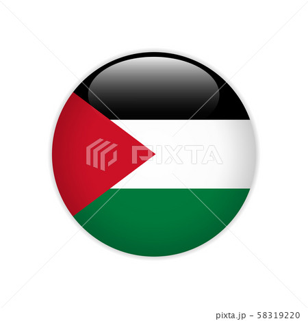 Palestine flag on button Palestine flag on button 58319220