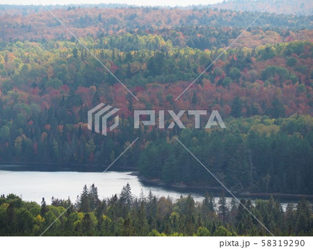 カナダ・オンタリオ州・アルゴンキン州立公園の紅葉_Centennial Ridges Trail02 58319290