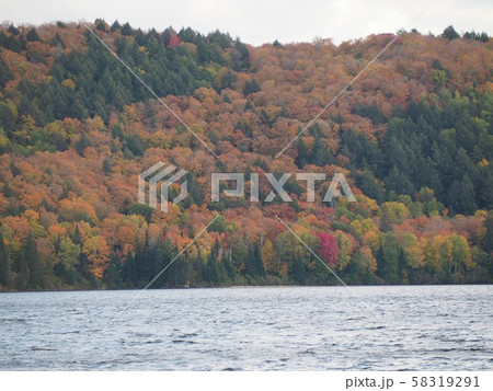 カナダ・オンタリオ州・アルゴンキン州立公園の紅葉_Tea Lake湖畔にて 58319291