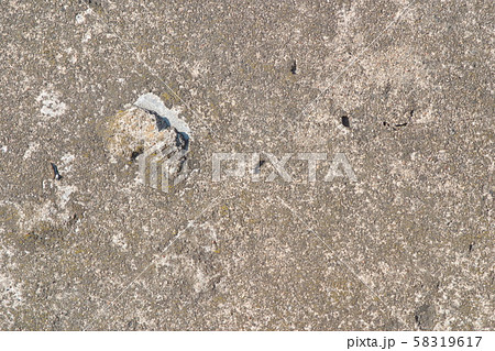 The image of a fragment of a concrete slab as a background The image of a fragment of a concrete slab as a background 58319617