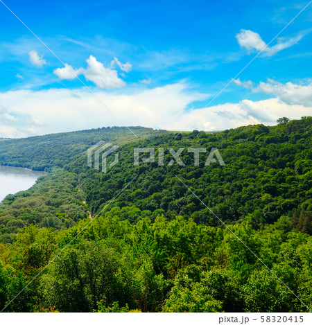 Beautiful landscape of the river and forest. View 58320415
