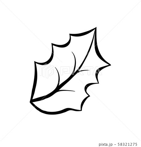 Mistletoe leaf coloring book vector illustrationのイラスト素材 [58321275] - PIXTA