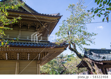 總願寺 不動ヶ岡不動尊 山門 埼玉県加須市 總願寺 不動ヶ岡不動尊 山門 埼玉県加須市 58322468