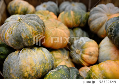 Various of fresh healthy bio pumpkins on farmer agricultural market at autumn. 58322649