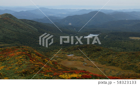栗駒山の紅葉 58323133