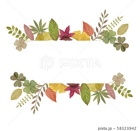 가을 잎 프레임 흰색 배경 수채화 일러스트 - 스톡일러스트 [58323942] - Pixta