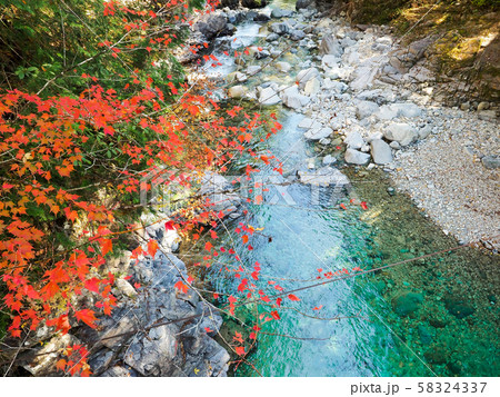 阿寺渓谷紅葉 阿寺渓谷紅葉 58324337