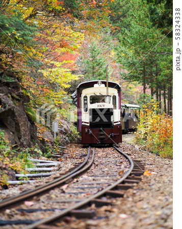赤沢自然休養林紅葉 赤沢自然休養林紅葉 58324338
