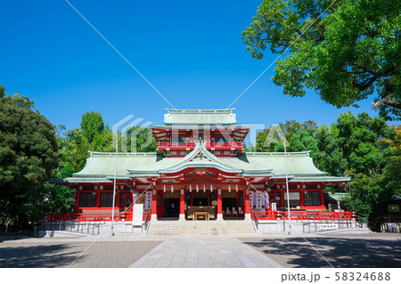 東京　富岡八幡宮の本殿　 58324688