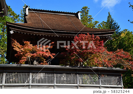 高野山の紅葉 高野山の紅葉 58325244