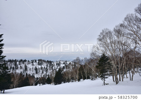 北志賀竜王スキーパーク　スカイランドエリア 58325700