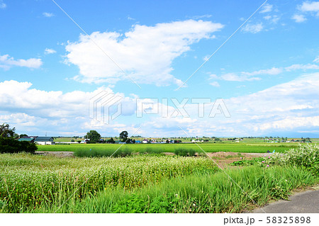 北海道旭川市西神楽の田んぼ風景 58325898