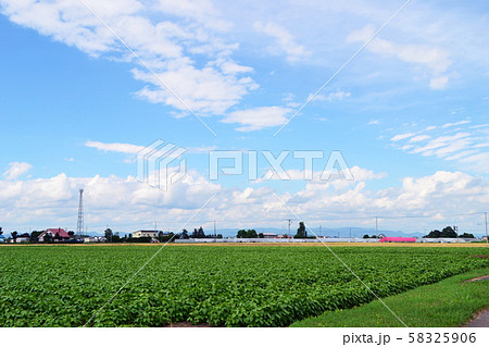 北海道旭川市西神楽の田んぼ風景 北海道旭川市西神楽の田んぼ風景 58325906