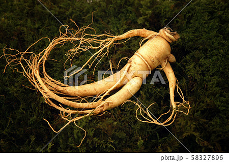 高麗人参 紅参 三 58327896