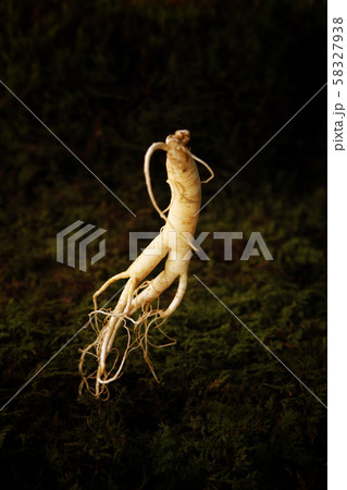 高麗人参 紅参 三 58327938