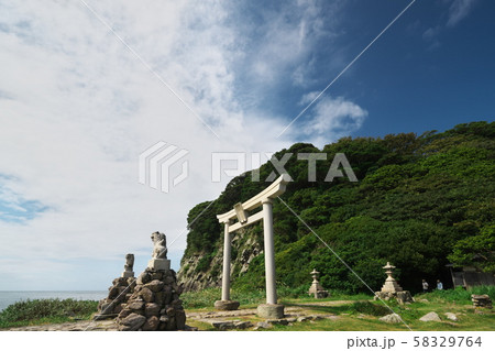 越前海岸　雄島の大湊神社の鳥居と狛犬 58329764