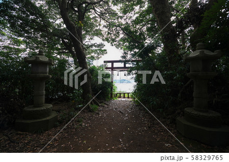 越前海岸　雄島の大湊神社境内から東尋坊を望む鳥居 58329765