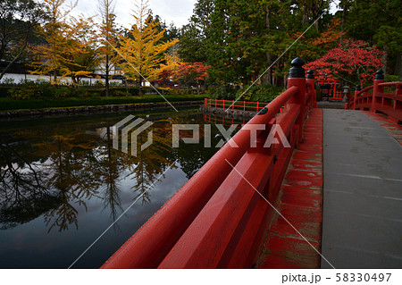高野山の紅葉 58330497
