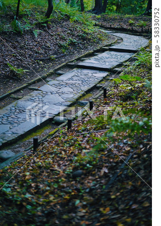 宇佐神宮 石畳 宇佐神宮 石畳 58330752