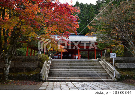 高野山の紅葉 高野山の紅葉 58330844