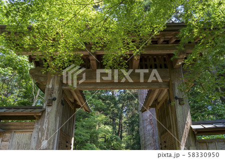 山門と青楓 58330950