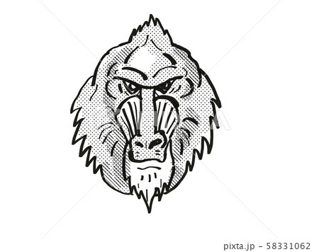 Mandrill Monkey Cartoon Retro Drawing Mandrill Monkey Cartoon Retro Drawing 58331062
