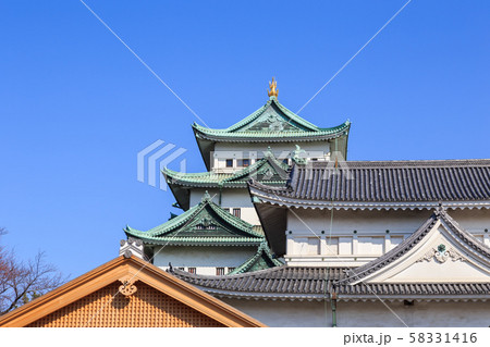 春の名古屋城 春の名古屋城 58331416