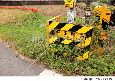 烏山線小塙駅近くにある森田踏切と彼岸花 58333449