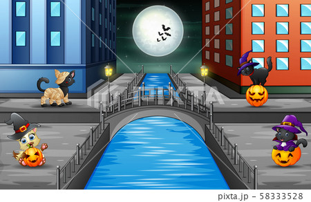 Cute cat in costume on the halloween town Cute cat in costume on the halloween town 58333528