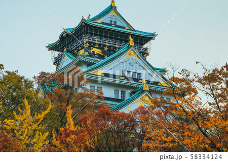 Osaka Castle in autumn season ,one of the most 58334124