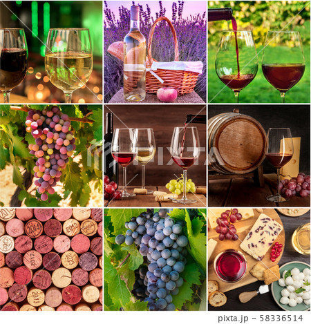 Wine Collage. Many photos of grapes, wine glasses, barrels, corks, a square design template for a 58336514