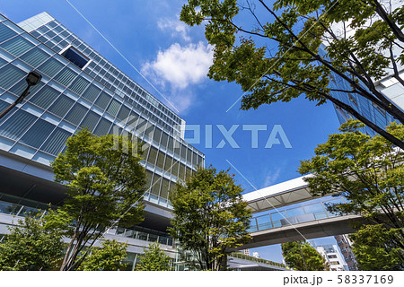 北千住駅東口 電大通りの風景 58337169