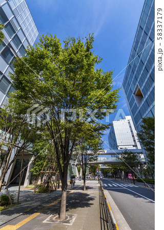 北千住駅東口 電大通りの風景 北千住駅東口 電大通りの風景 58337179