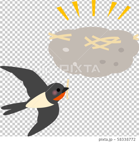 ツバメの巣と藁を運ぶツバメ 58338772