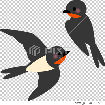 かわいいツバメ 58338775