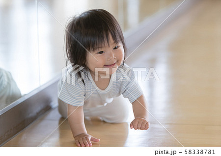 1 year old 58338781