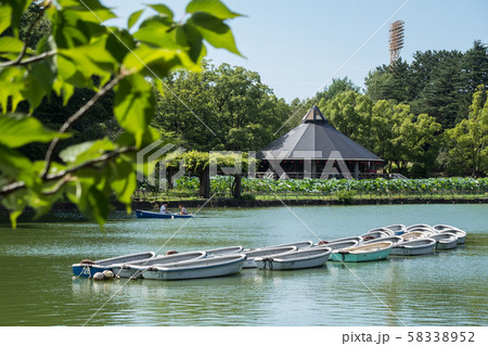 千葉公園の夏 58338952