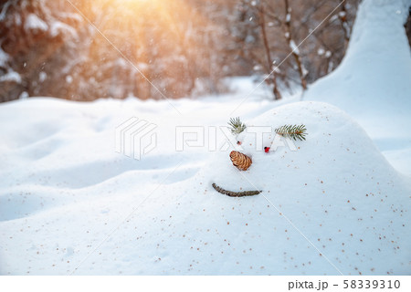 Cheerful snowdrift, snowman in anticipation of Cheerful snowdrift, snowman in anticipation of 58339310